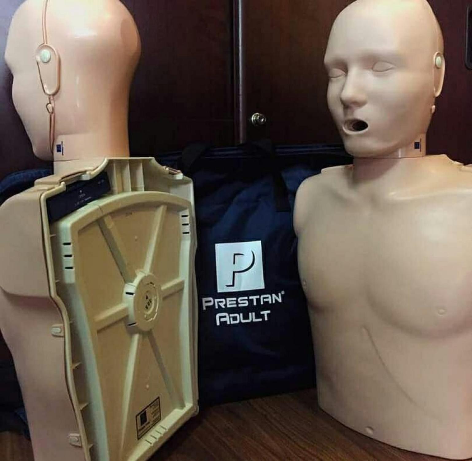 PRESTAN MANIKIN DEWASA