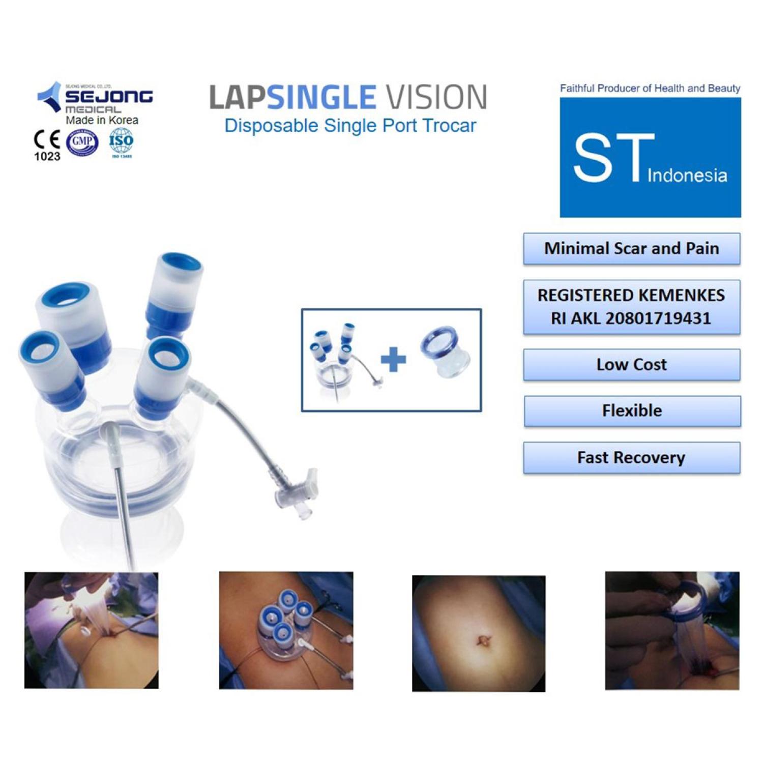 LAPSINGLE VISION (10 pcs)