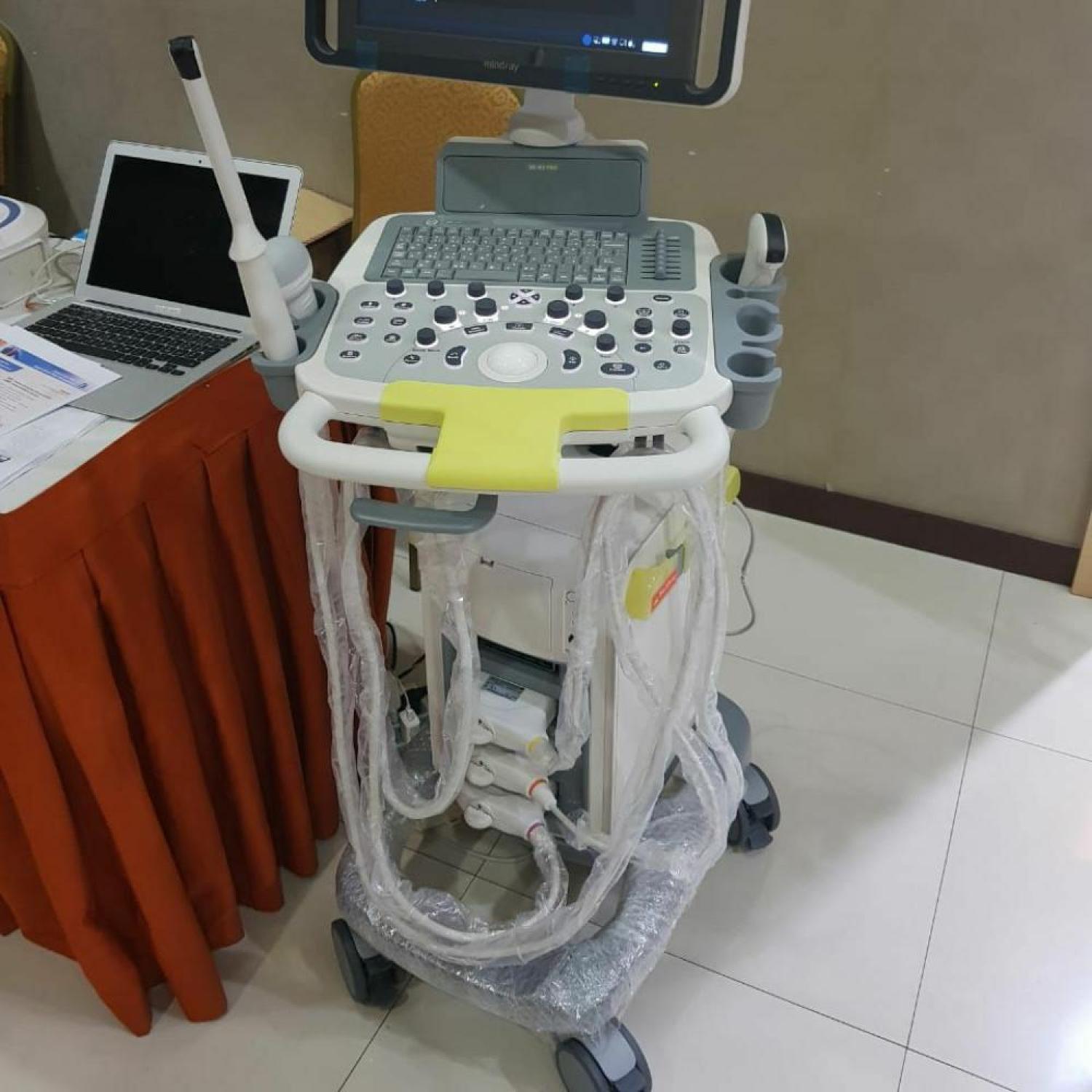 USG 4 D Mindray DCN3 Pro 