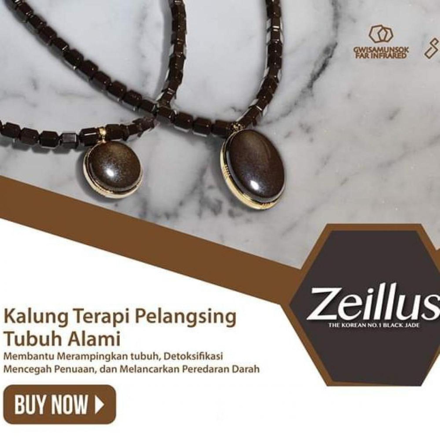 Kalung Terapi ZEILLUS