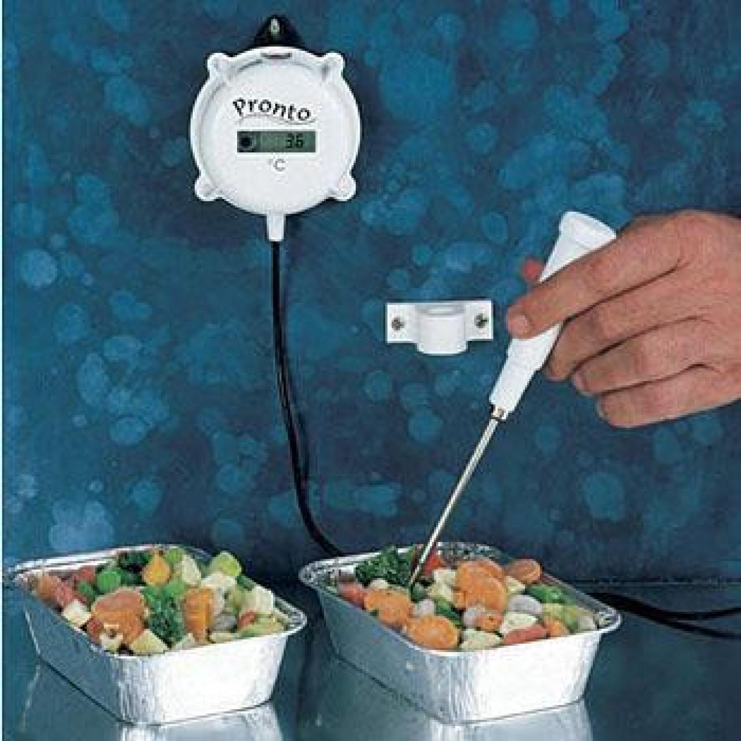 HI-146-00 Wall-mounting Precision Thermometer (Hanna)