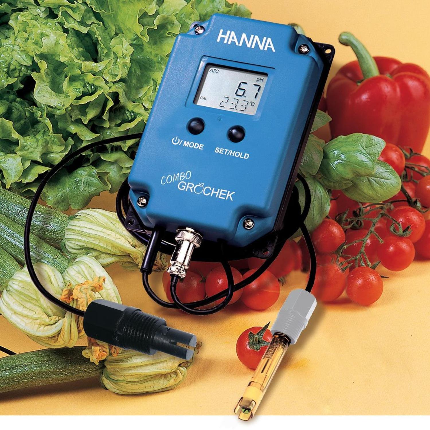 HI-991404-02 pH/EC/TDS/Temperature Monitor (Hanna)