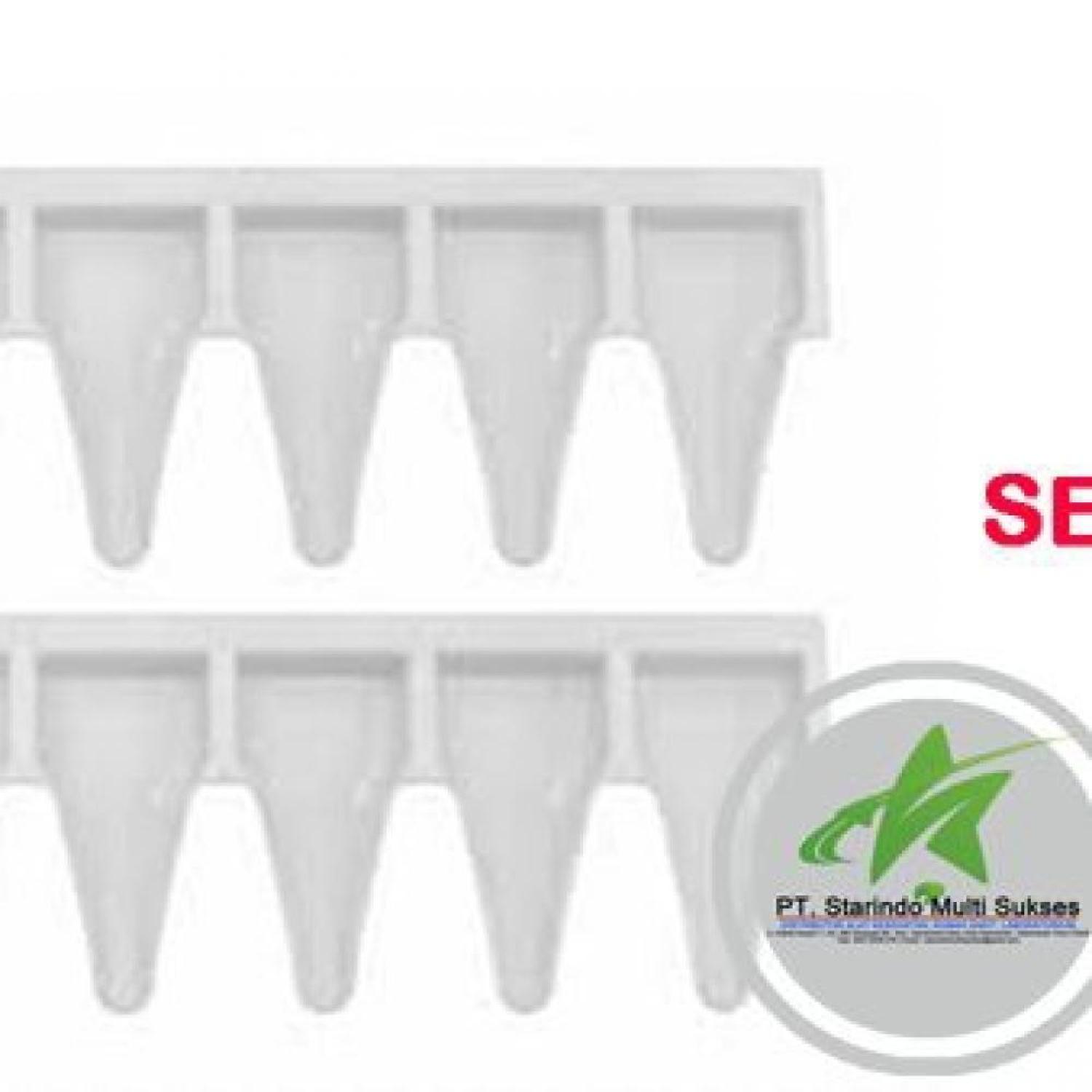 Sendok Puyer Spoon