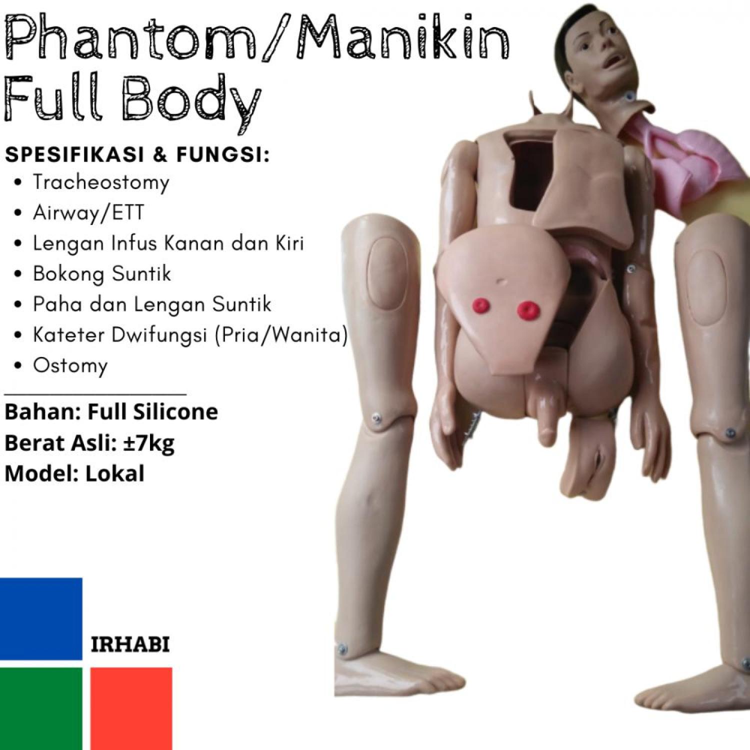 Fullbody Multifungsi / Pantom-Manikin / Alat Peraga / Anatomi / Silicone