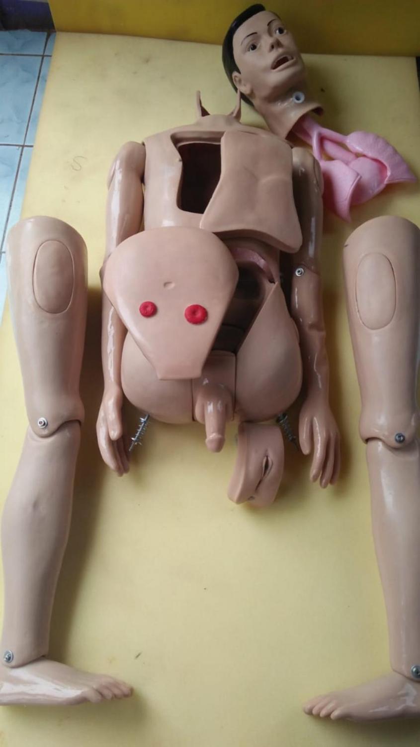 Fullbody Multifungsi / Pantom-Manikin / Alat Peraga / Anatomi / Silicone