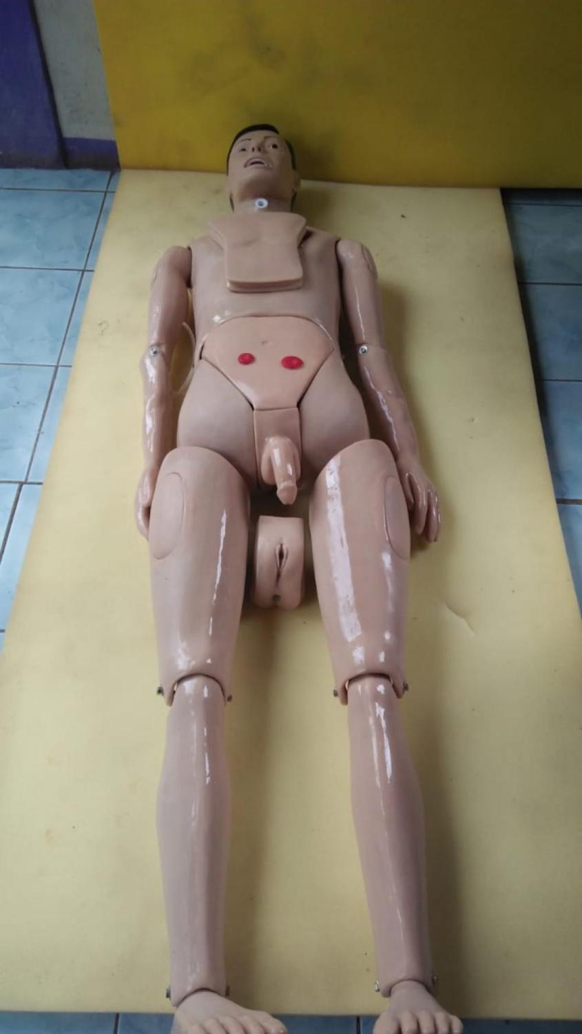 Fullbody Multifungsi / Pantom-Manikin / Alat Peraga / Anatomi / Silicone