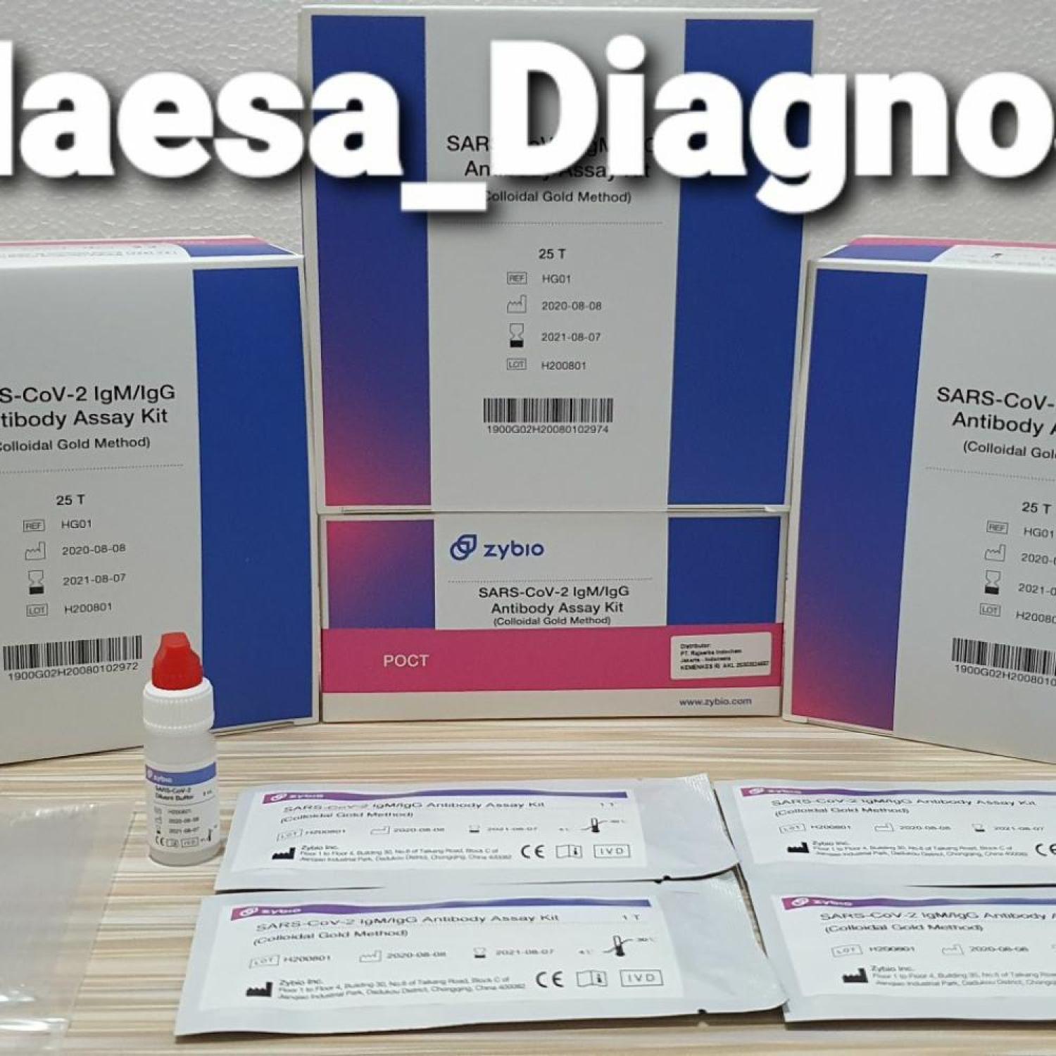 Zybio rapid Tes, Isi 25 Pcs