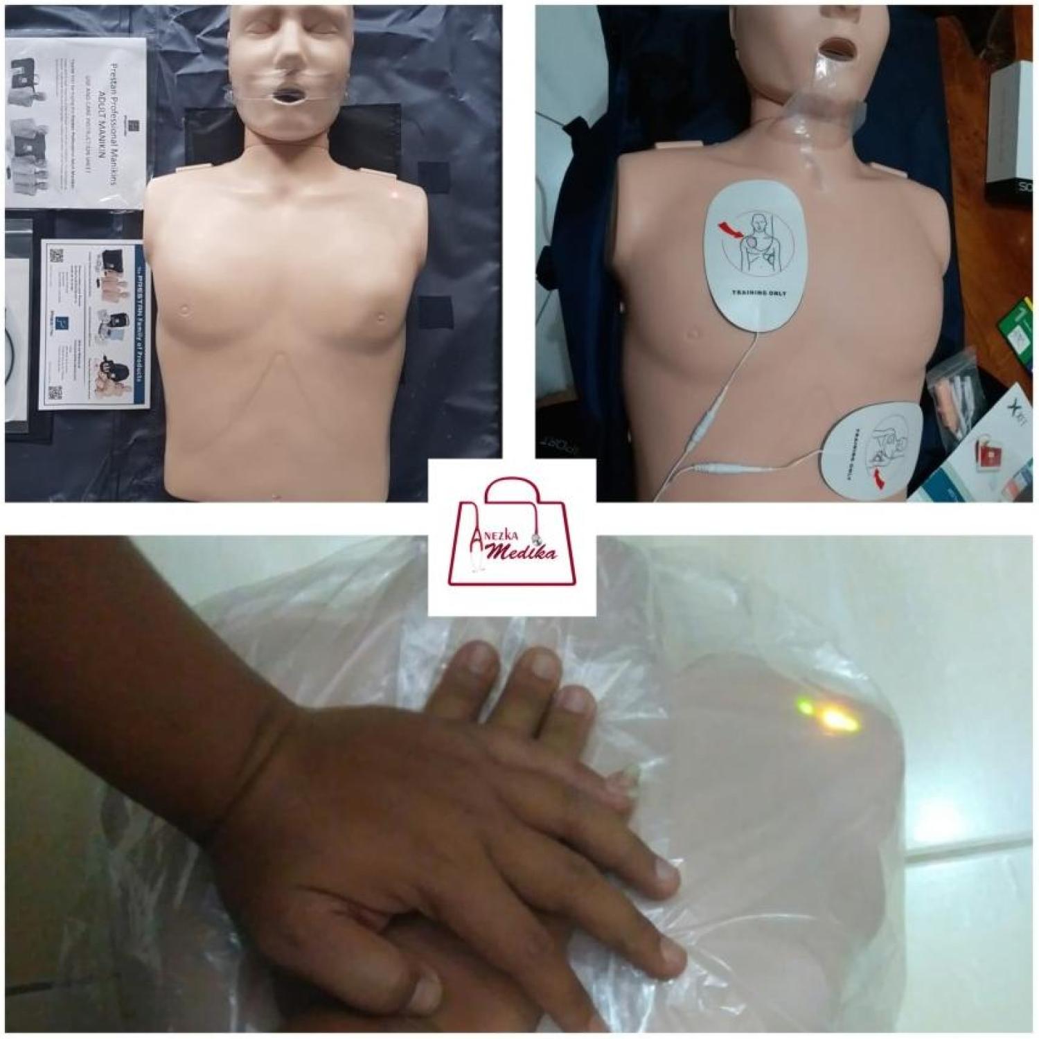 PHANTOM/MANIKIN/MANEKIN/PRESTAN MANIKIN ADULT