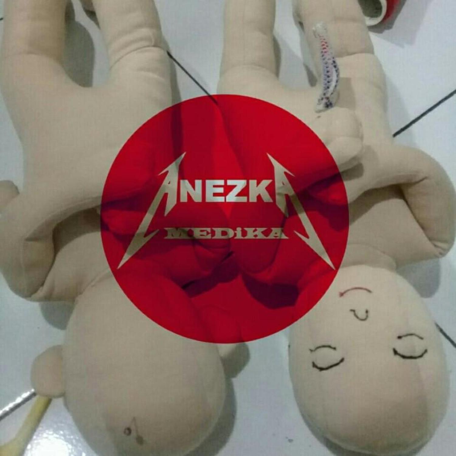 PHANTOM/MANIKIN/MANEKIN/BAYI PLASENTA