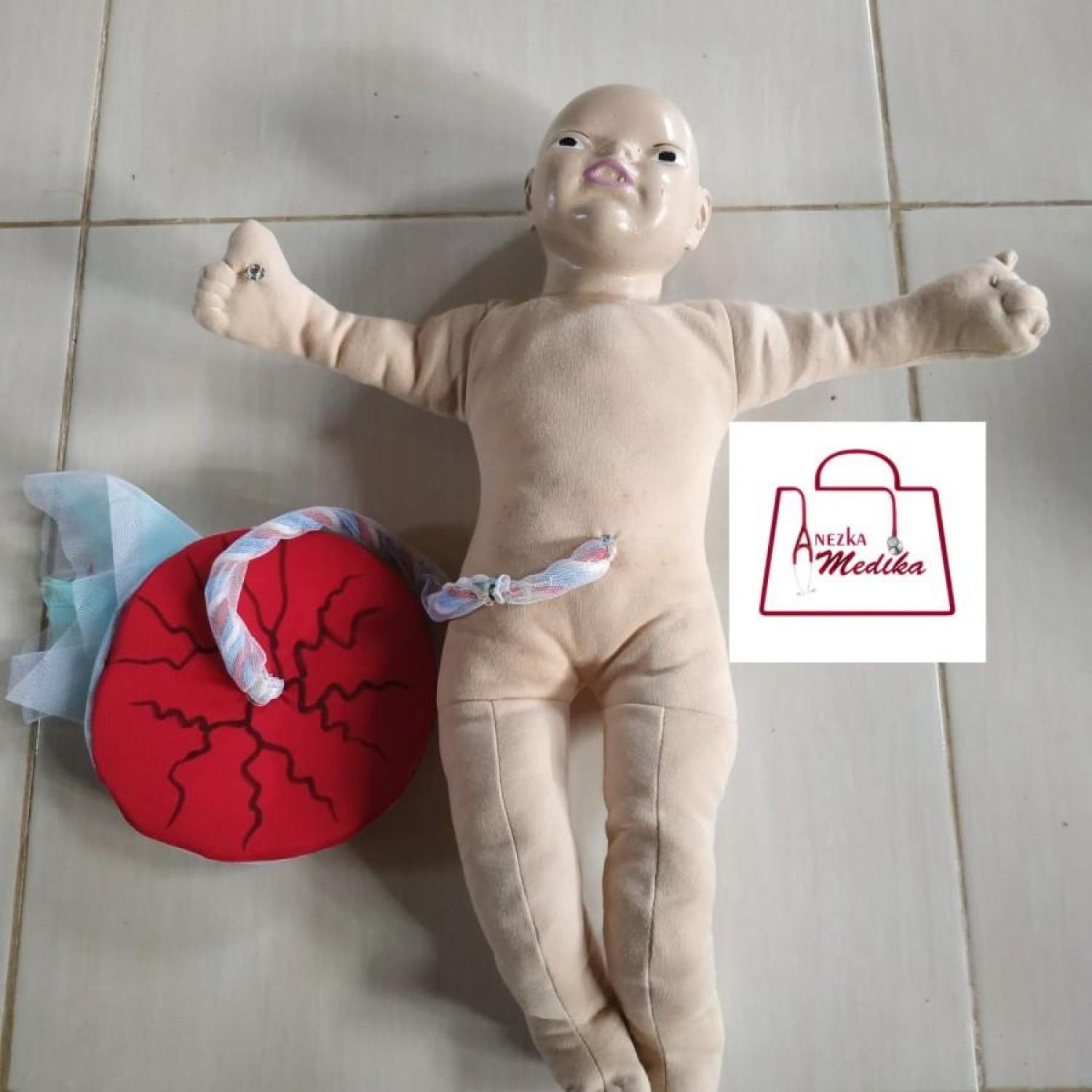 PHANTOM/MANIKIN/MANEKIN/BAYI PLASENTA