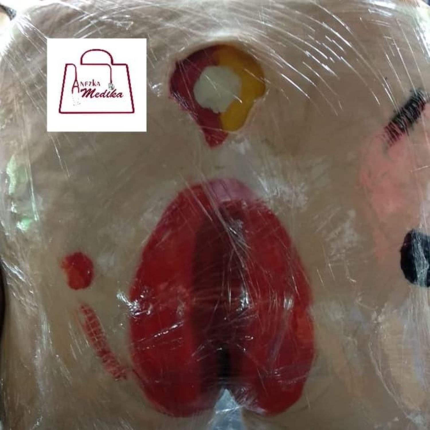 MANIKIN DECUBITUS / PHANTOM MANEKIN / MANIKIN BOKONG DECUBITUS