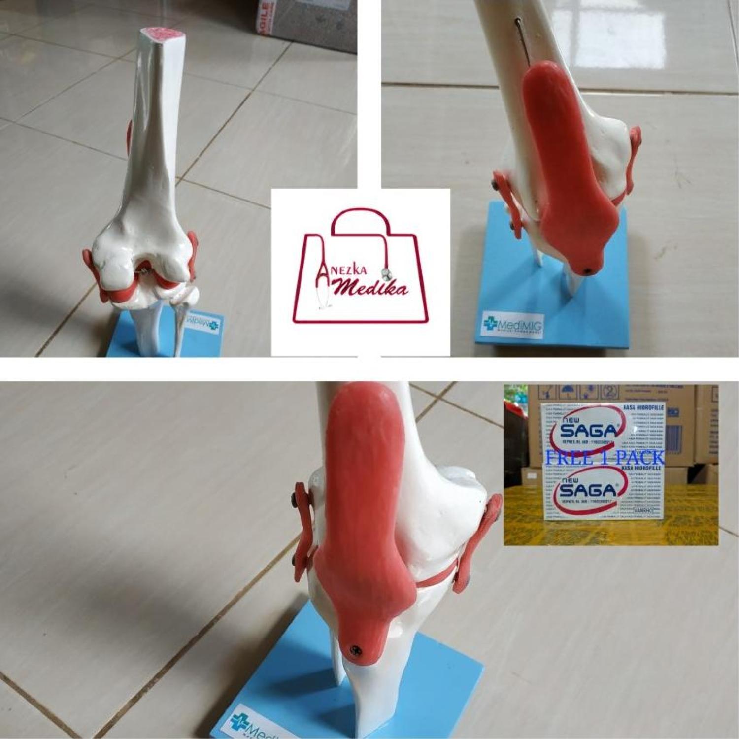 PHANTOM/MANEKIN/MANIKIN TULANG OTOT LUTUT