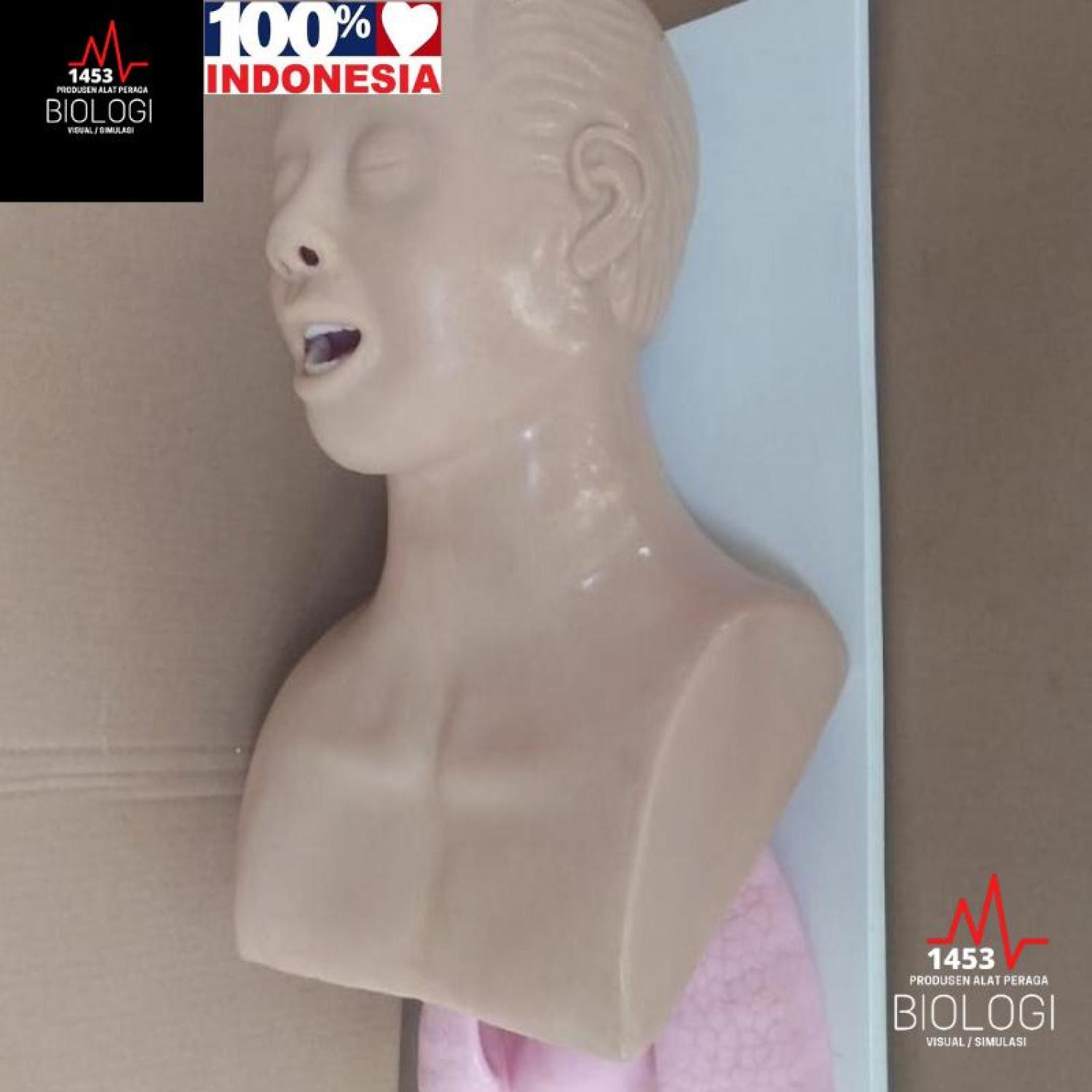 Produsen Alat Peraga Phantom Manikin ETT Airway|Manekin Intubasi/Endotracheal Tube