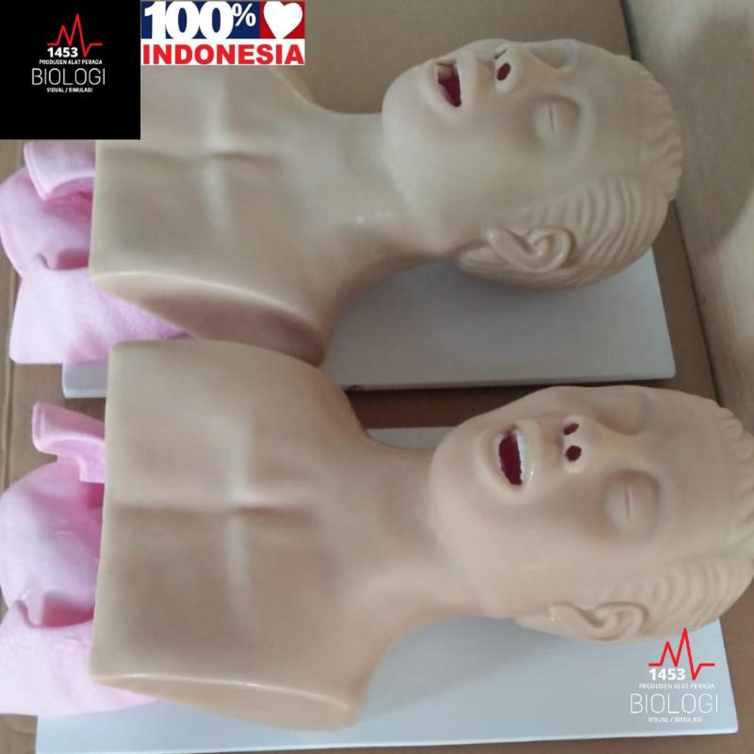Produsen Alat Peraga Phantom Manikin ETT Airway|Manekin Intubasi/Endotracheal Tube
