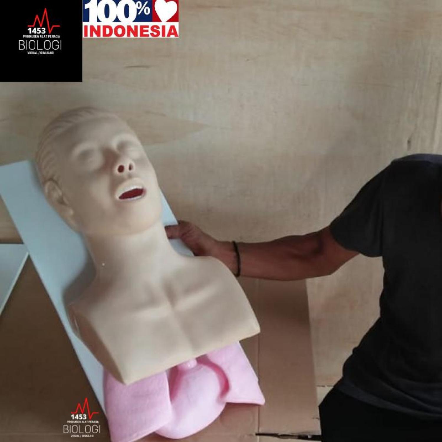Produsen Alat Peraga Phantom Manikin ETT Airway|Manekin Intubasi/Endotracheal Tube