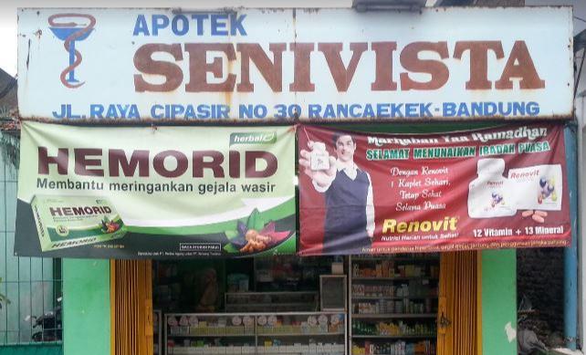 Apotek Seni Vista