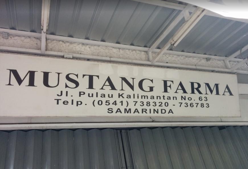 Apotek Mustang Farma